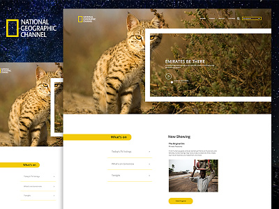 National Geographic Channel Landing Page redesign clean design landing page national geographic redesign single page