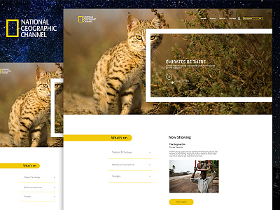 National Geographic Channel Landing Page redesign