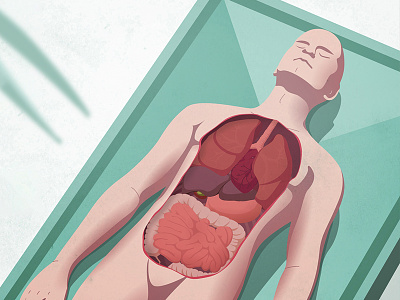 Autopsy autopsy body death design digital experience illu illustration interactive ui vector