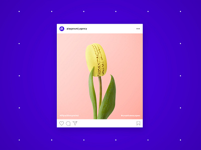 Tulip - Playground Social Media compositing design feed flower graphic macaron purple social socialmedia tulip