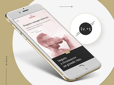 Winedo academy branding compositing design e commerce educational elegant graphic ui ux web web design website wine winery