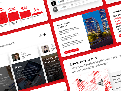 DigitalPoland - Homepage Elements