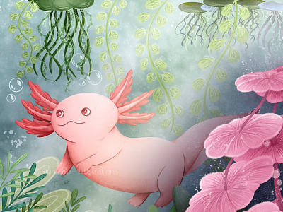 Axolotl