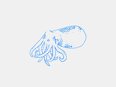 Sad 'Lil Squid Illustration drawing graphic illustration ink ocean outline print sad sea squid