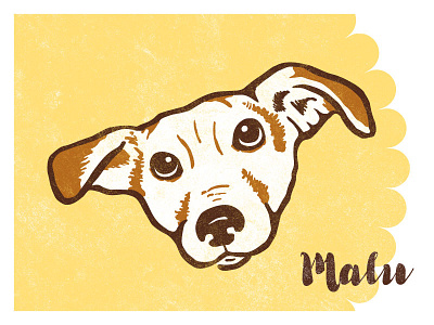 Malu animal dog illustration k9 pet