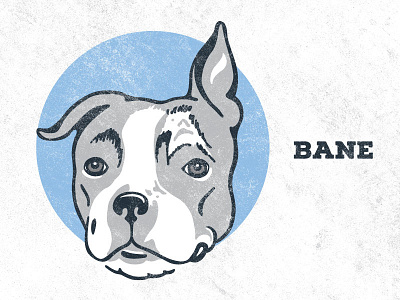 Bane animal dog illustration