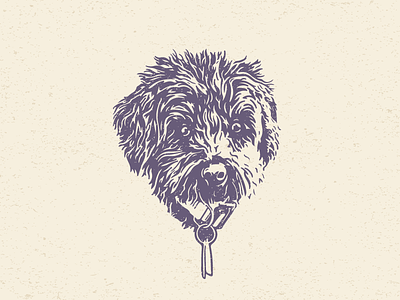 Lucy Portrait cockapoo design dog dog head dog icon dog illustration drawing portrait puppy