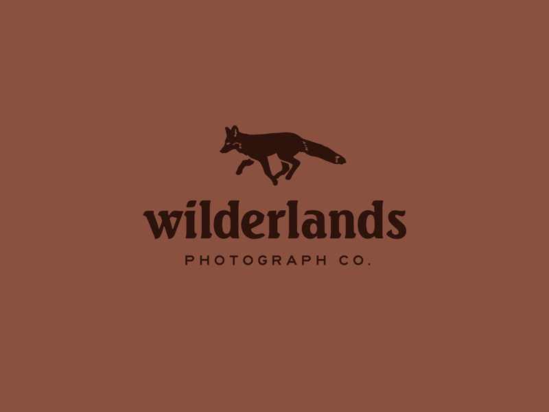 Wilderlands adventure fox identity photography wild