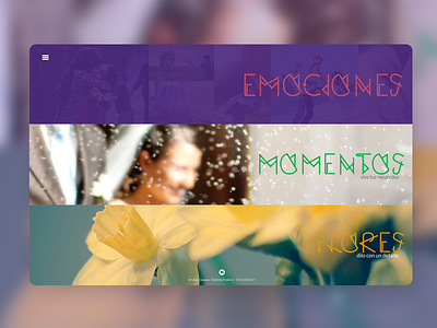 Aparicio categories emotions flowers gui homepage moments ui ux web design web site website