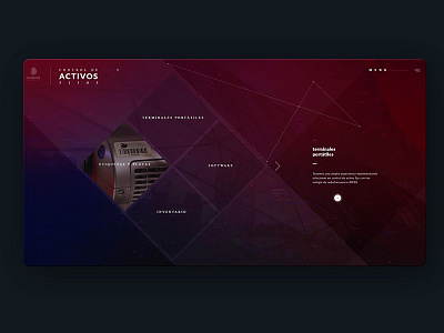 Activos Fijos layout site web website