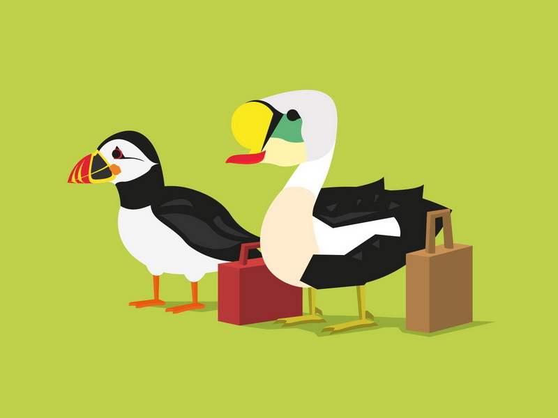 Migration briefcase animal illustration animals cartoon duck design art drawing vector illustration vacation animal birds