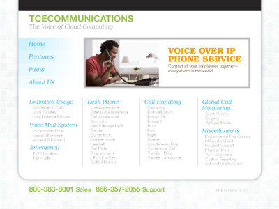 VOIP Service Website