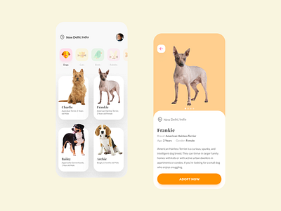 Mobile App Design - Pet Adoption adobexd app appdesign design figmadesign mobile ui ui ui ux ui design uidesign uidesigner uiux uiux design uiux designer uiuxdesign user interface design userinterface uxinspiration uxui web design