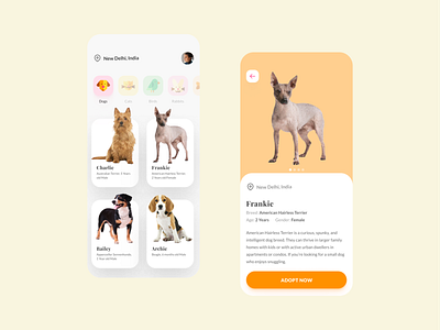 Mobile App Design - Pet Adoption