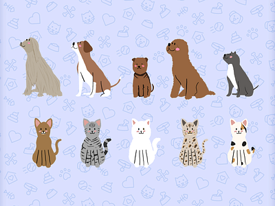 Dogs & Cats - Barkibu Mobile Website cats design dogs illustration landing page mobile website ui user research