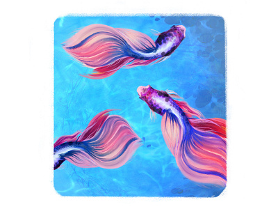colorful colorful daytime digital digitalart fish pink sea water