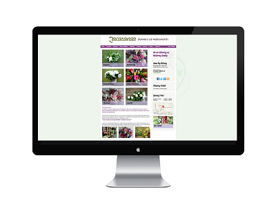 Jacranda Flowers - Website Design design website
