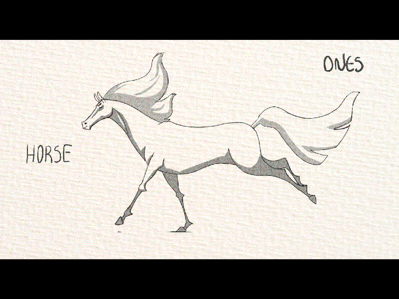 Horse - cycle animation 2d cycle fullframe horse