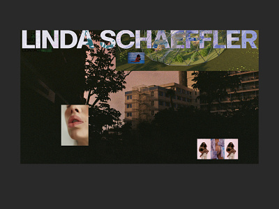 Linda Schaeffler branding design freiberger graphic design hero layer linda photography studio typography ui ux webdesign website