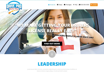Drive Pro - Driving School - Homepage Design dailyui design drive pro homepage homepage design trending