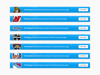 Bruins designs, themes, templates and downloadable graphic elements on  Dribbble
