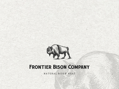 American Bison logo adobe illustrator adobe photoshop sketch