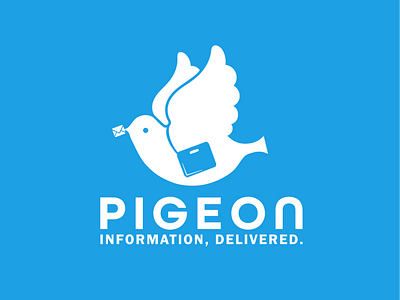 pigeon