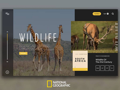 National Geographic branding design ui ux web