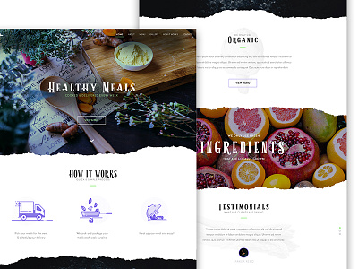 AP Meal Prep Website Redesign citrus colorful desktop food icons pattern restaurant texture typography