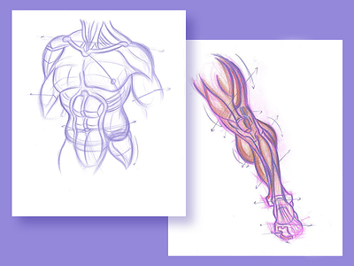 anatomy sketching
