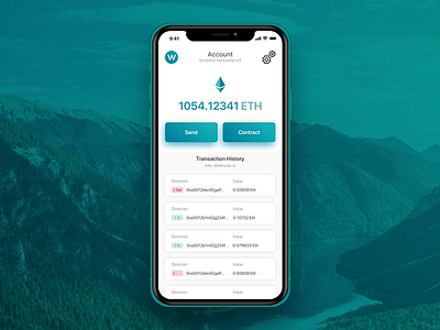 Etherium Wallet Flow app app animation app design crypto etherium ios ui ux ui design wallet