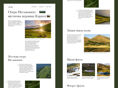 Nesamovyte Lake. Design concept web design website