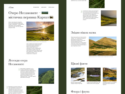 Nesamovyte Lake. Design concept