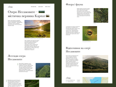 Nesamovyte Lake. Design concept