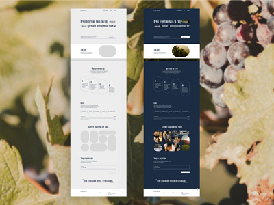 Wine Tasting . Landing Page