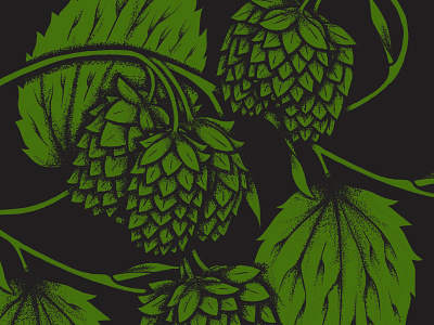 Hops beer green grow hops illustration leaves nature stipple
