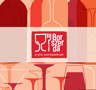 Borszerda 2011 webdesign