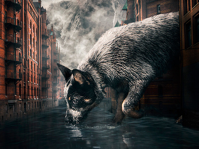 Thirsty Dog digital art photomanipulation surreal art