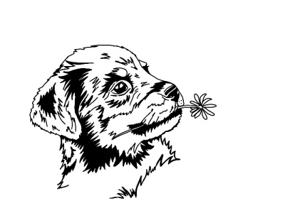 Baby Rottweiler Puppy design graphic design illustration
