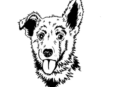 German Shepherd Puppy design graphic design illustration