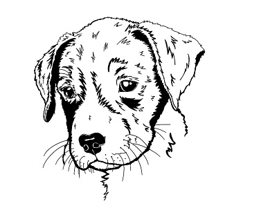 Pitbull Puppy design graphic design illustration