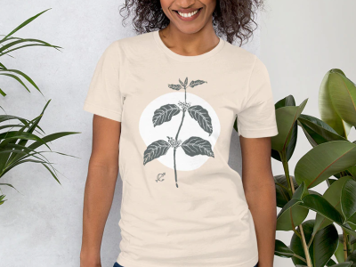 Chaleur Coffee Plant Shirt illustration, 2017