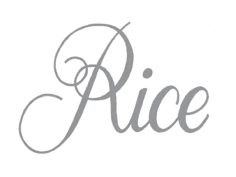 Rice vector process (WIP) bezier calligraphy cursive curve handlettering handwriting lettering logo type typedesign typography vector