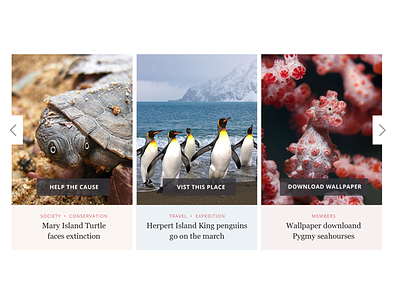 Australian Geographic Cards Carousel cards cards design carousel design penguins swipe turtle ui