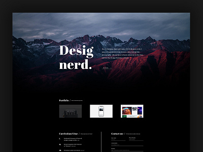Designerd - Artist Portfolio artist desgin portfolio prospect ui ux web