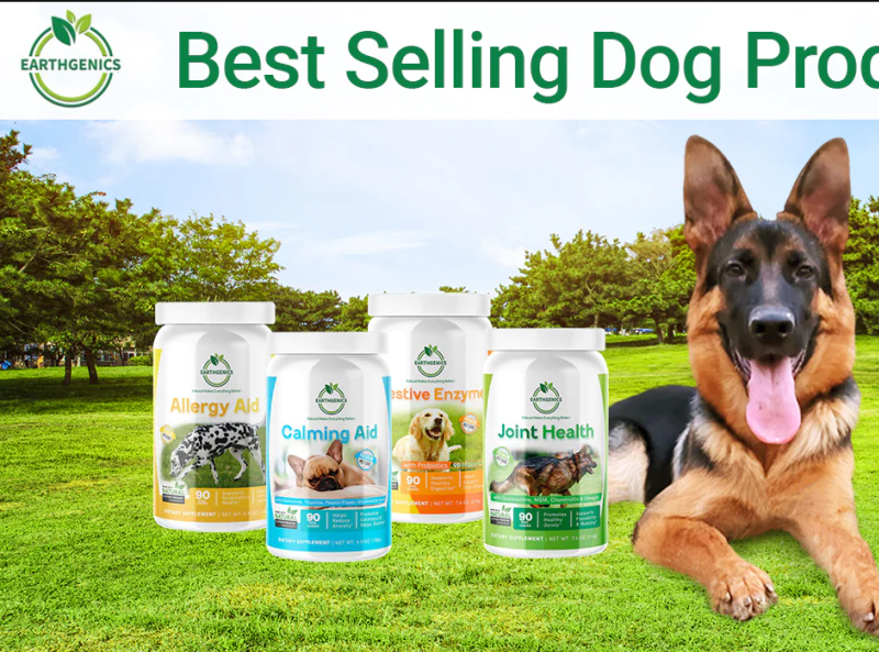 5 Points to Consider While Buying Dog Food by Earthgenics on Dribbble