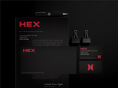 Hex Futures branding design illustration logo