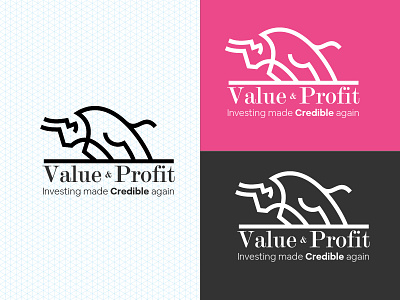 Valu& Profit Logo