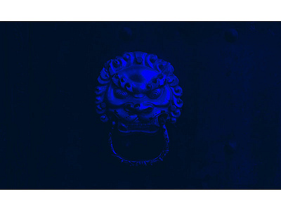 the blue lion door ring photography