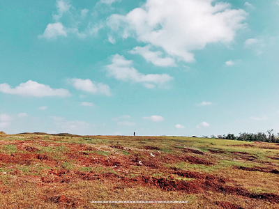 The autumn day autumn land photography sky